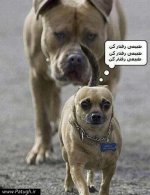 aksneveshte_www_patugh_ir-10.jpg