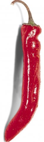 f2.jpg f2.jpg