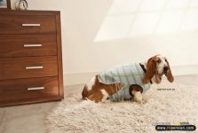 advertising-print-ads-9.jpg