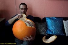 fun-pictures-radsms0.jpg