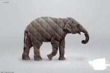 ساک wildcraft- مه چیز در آ.jpg