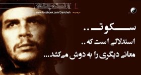 Golvaje8_Persian-Star_org_20.jpg
