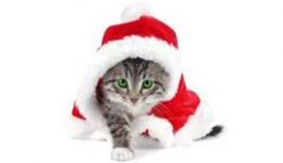 A1WS9SCCA115K3DCATU5CQPCA4J582YCALJEHPGCAEB23H4CAFW220UCAFD4NXWCA9AW6E0CA34H39GCARUME2NCA6WFQODC.jpg