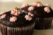 chocolate-cup-cake.jpg