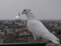 325107555438.jpg