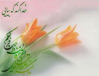 nime-shaban-postal-patugh-ir-14.jpg