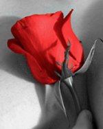 www.Mob4u.ir (12).jpg