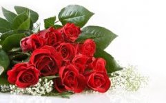 5HJCAAWPZSNCAH6JOHKCAB0UUXUCAZ8P1MJCA2043VTCAZWSNDZCARNFNP3CAIAZ404CAY2MRPNCAXRPSK5CAOX0DI4CAWZF.jpg