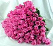 images (12).jpg