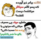 troll-funny-persian-11-1.jpg