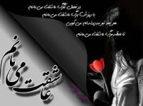 ADRCA73KUSHCAB5W7LSCAMLAD0UCAV2PZBNCA58796GCAR1R2I3CAK6BIEKCA7EJPL8CARU9S4VCAGXPKVVCABAX47SCAP1G.jpg