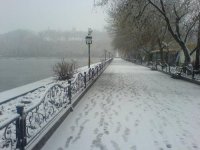 700332_l.jpg