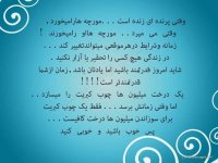 b86b450dc48c48773231f518bbc131e4.jpg