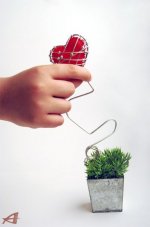 normal_عکس عاشقانه105.jpg