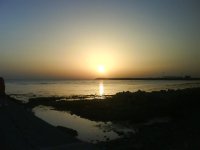 DSC00380.JPG