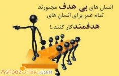 pinar_ashpazonline_weblog_1356322420.jpg