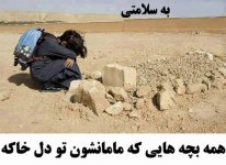 madar2.jpg