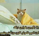 fun-pic-radsms.com-30.jpg