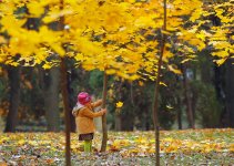 autumn-photo-1.jpg