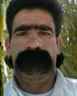 images.jpg