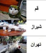 عع.jpg