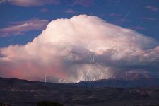 14409668634267979045 (1).jpg