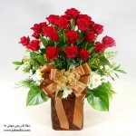 red_rose_.jpg