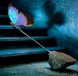 19088238158837072593.jpg