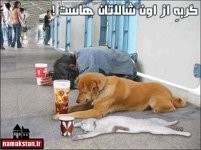 Funny-photos-with-cool-explanation-5.jpg