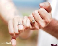 Bride_and_groom_in_love_(13).jpg