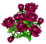 0048.gif
