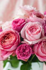 129691-Pink-Floral-Roses.jpeg