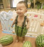watermelon-1.jpg