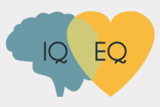 iq.png