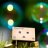 karimi_sharareh